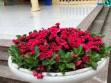 Img 6529 1